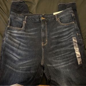 American Eagle Plus Size Jeans